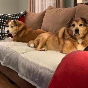 Meet your Posher, Rick